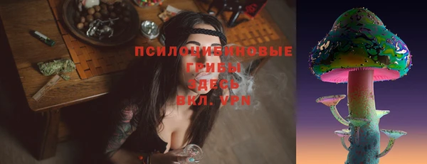 сатива Абаза